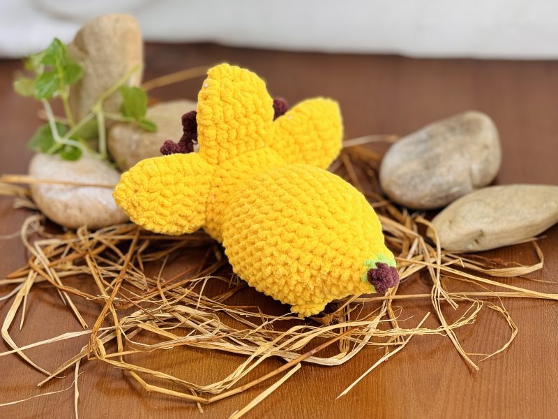 Back view of the Triceratops BANANASAURUS Crochet