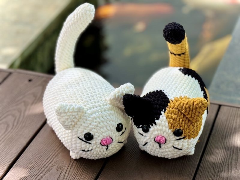 Two cats photographed from above