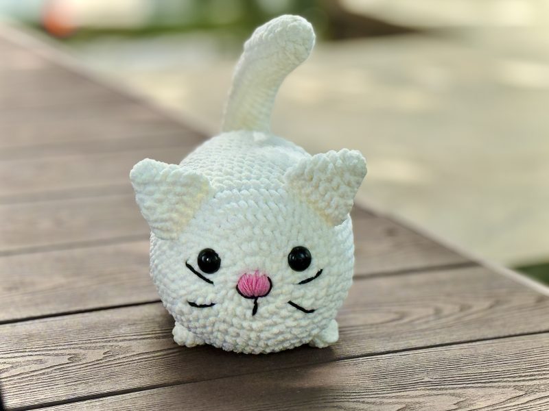 cat white