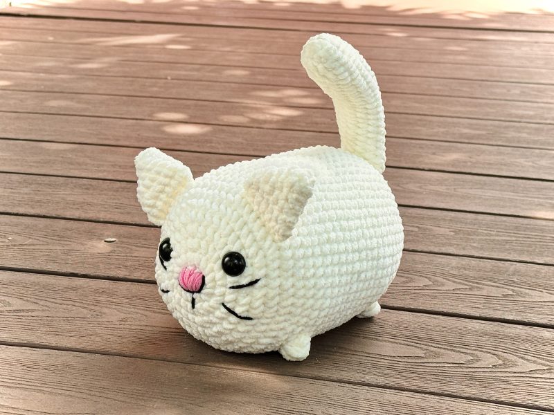 Cat white 2